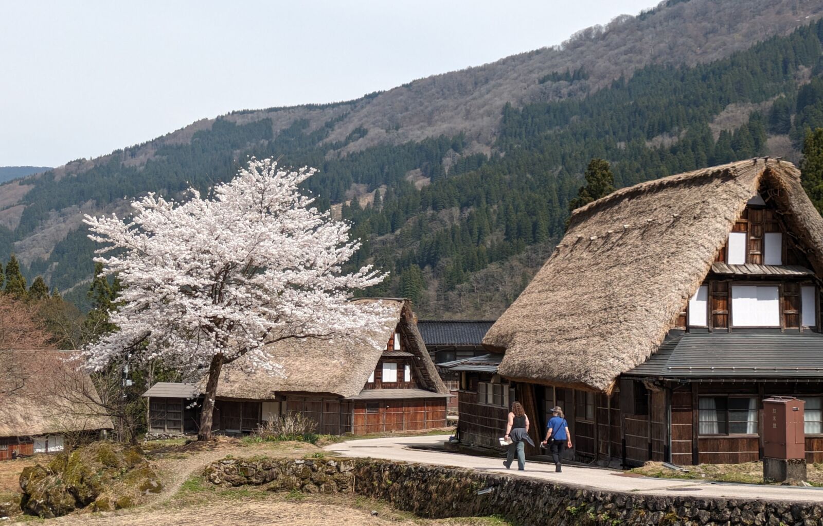 gokayama-ainokura