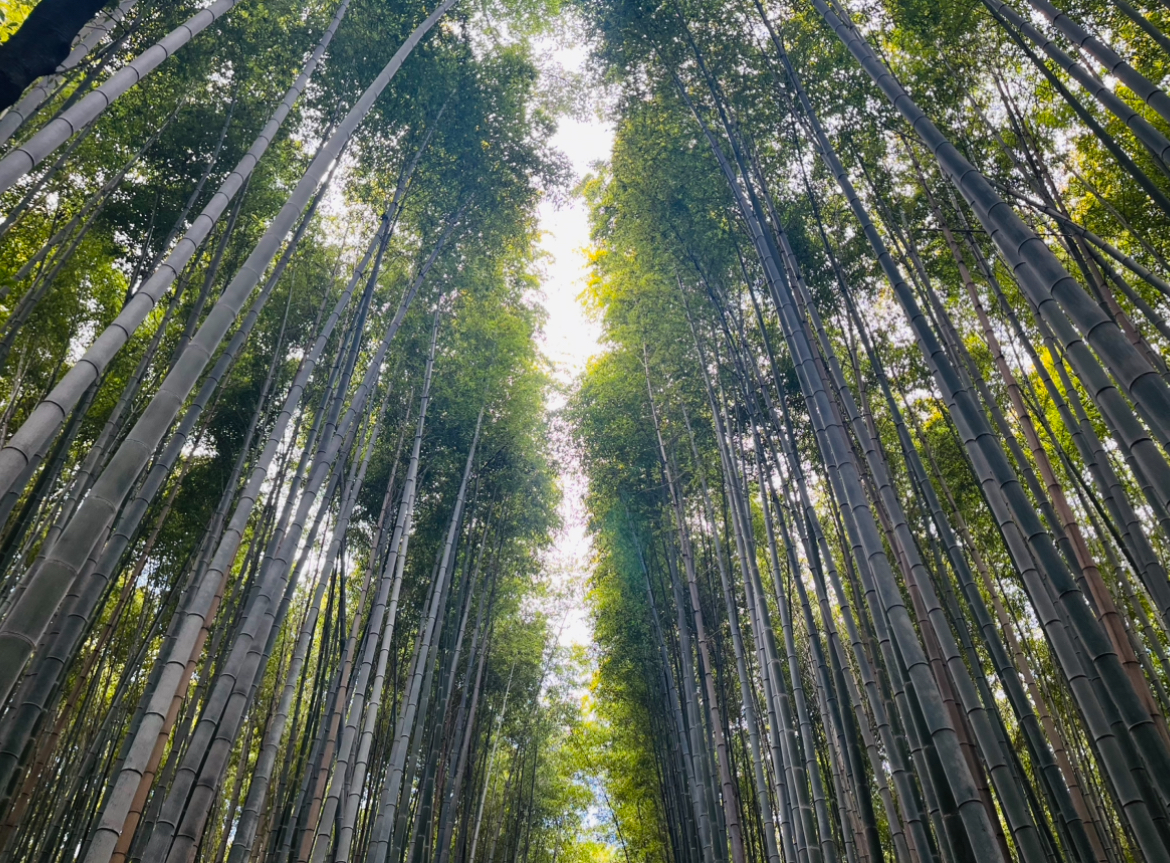 Kamakura-Enoshima