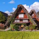 在高山和白川鄉體驗秋天的魔力