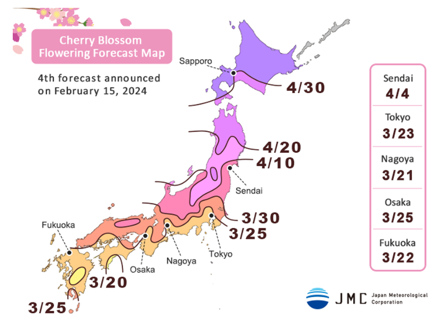 2024-sakura-map