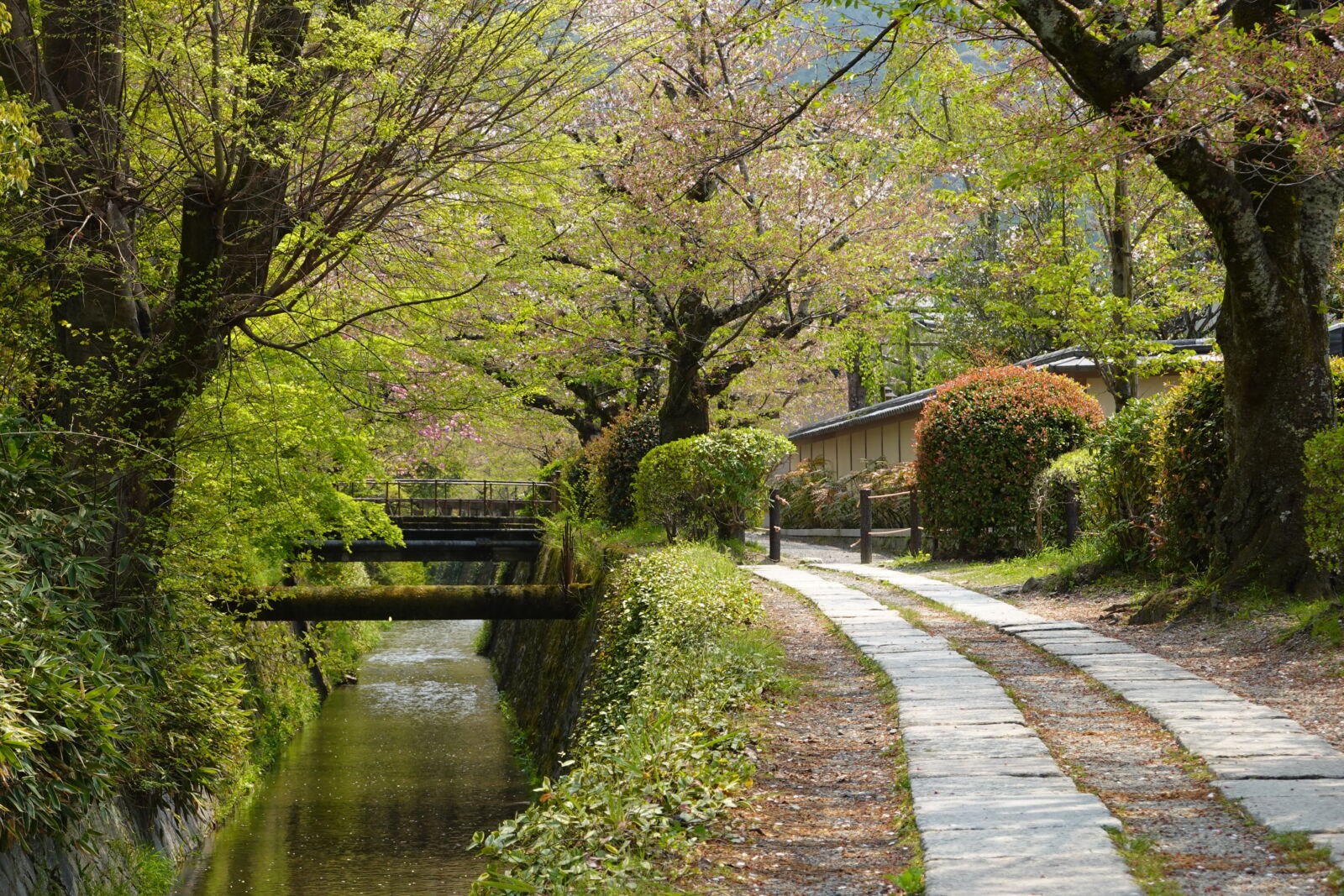 tetsugaku-no-michi-kyoto