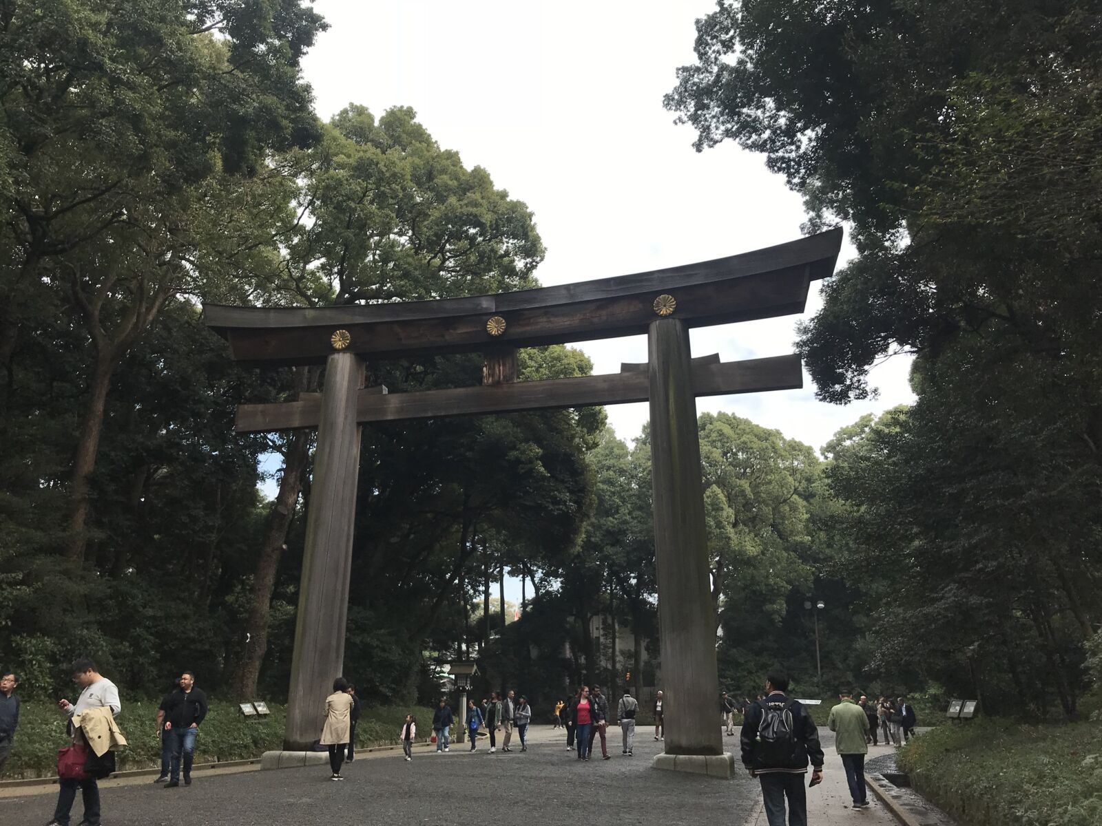 Shibuya-meiji-Jingu