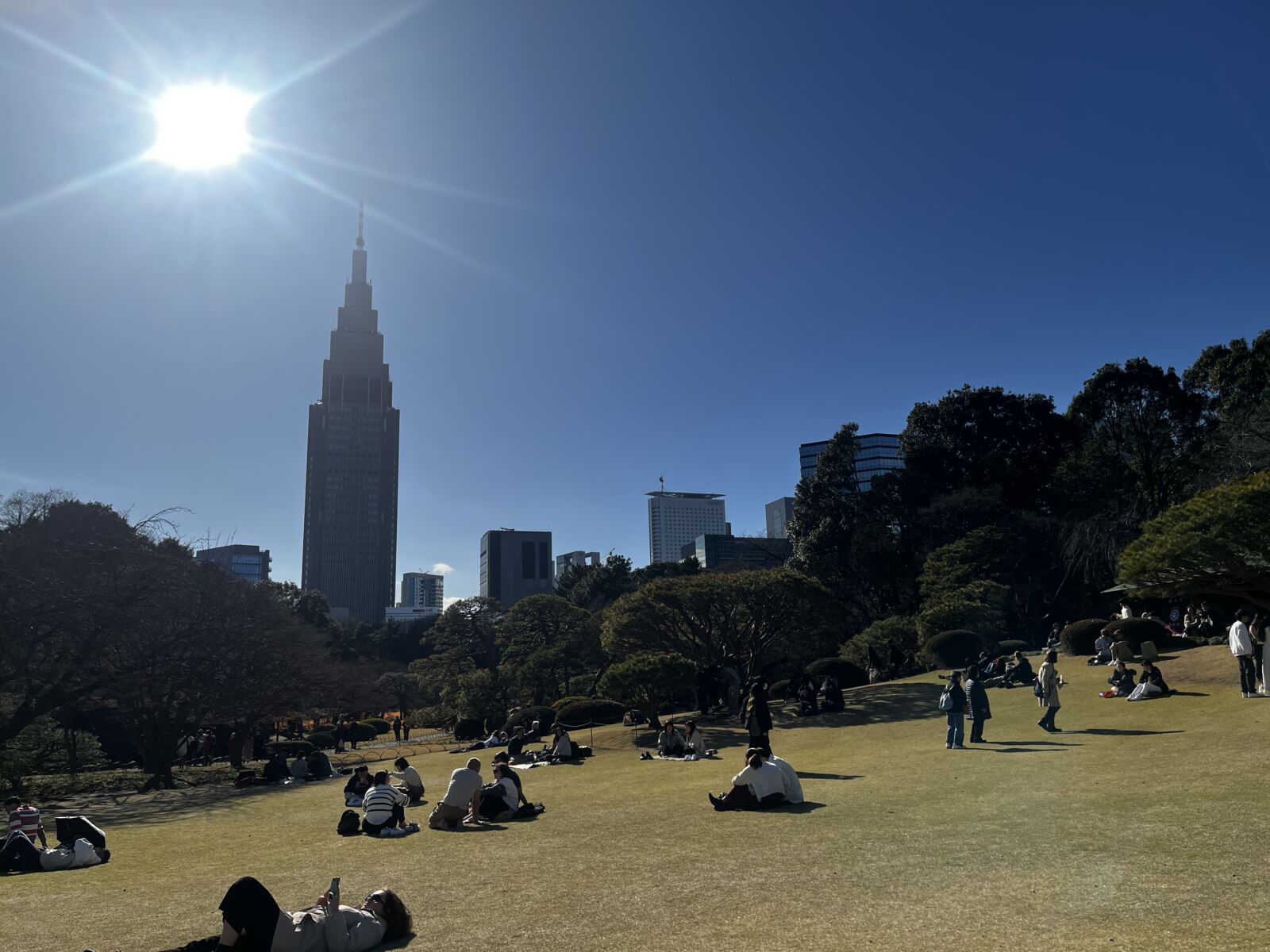 Shinjuku-Gyoen-park