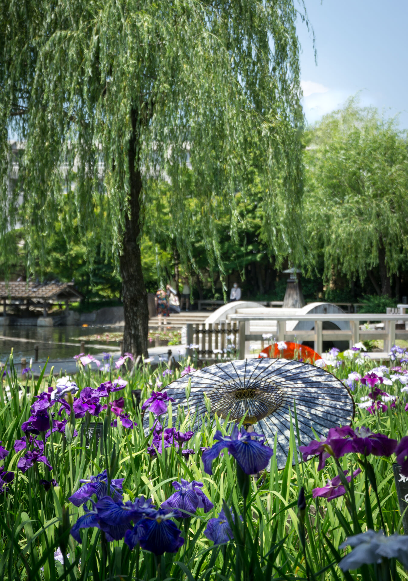 a summer scene at Tokugawa-en