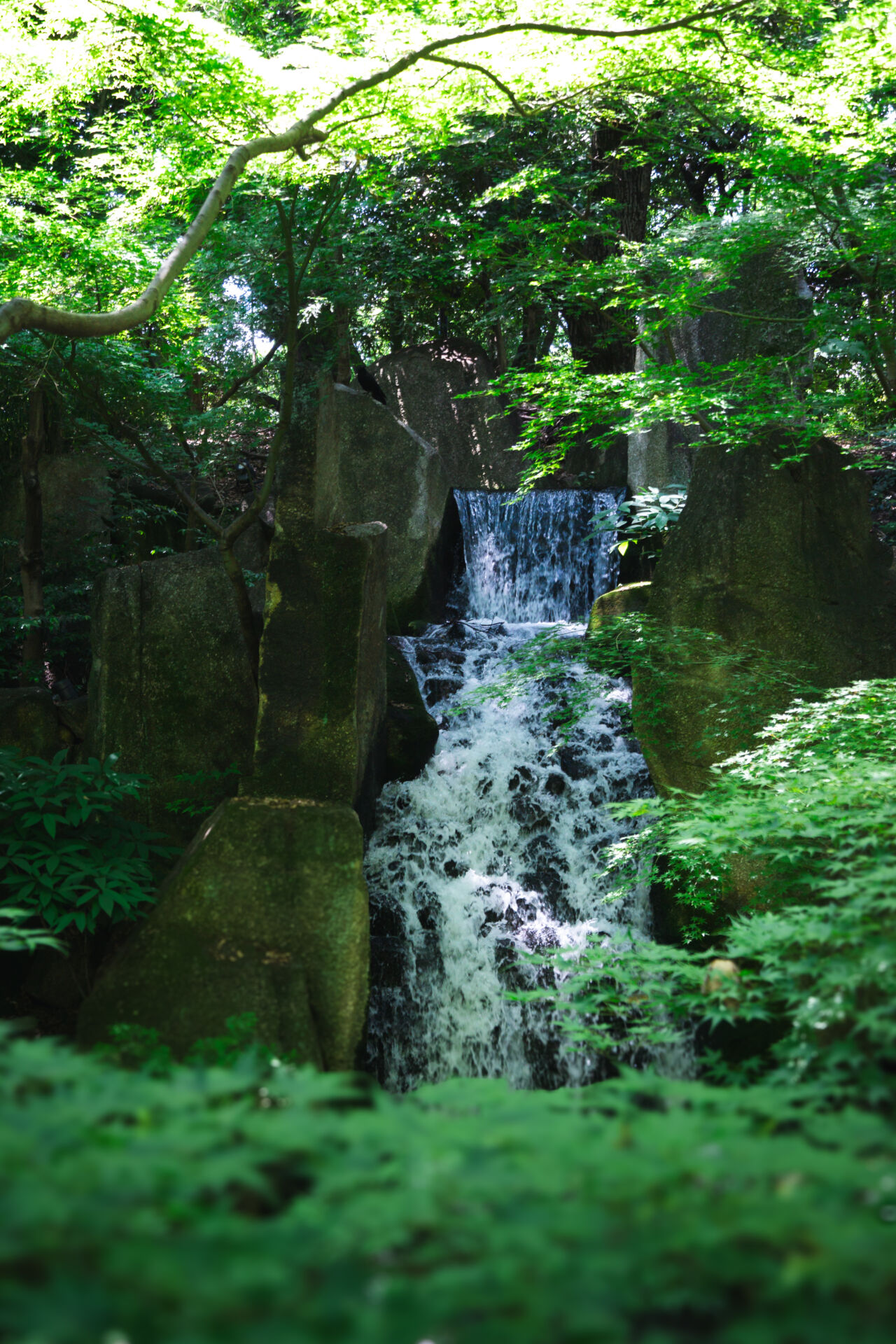 one of the two waterfalls at Tokugawa-en