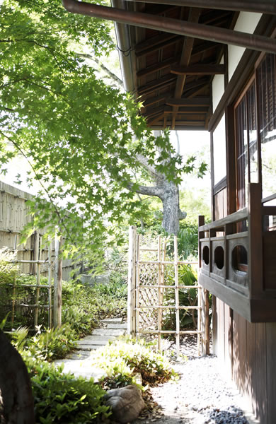 a walkway leading into the garden at Sozanso tea house at Tokugawa-en