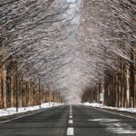 Winter Escapes: Nagoya’s 7 Best Spots for Snow and Winter Activities