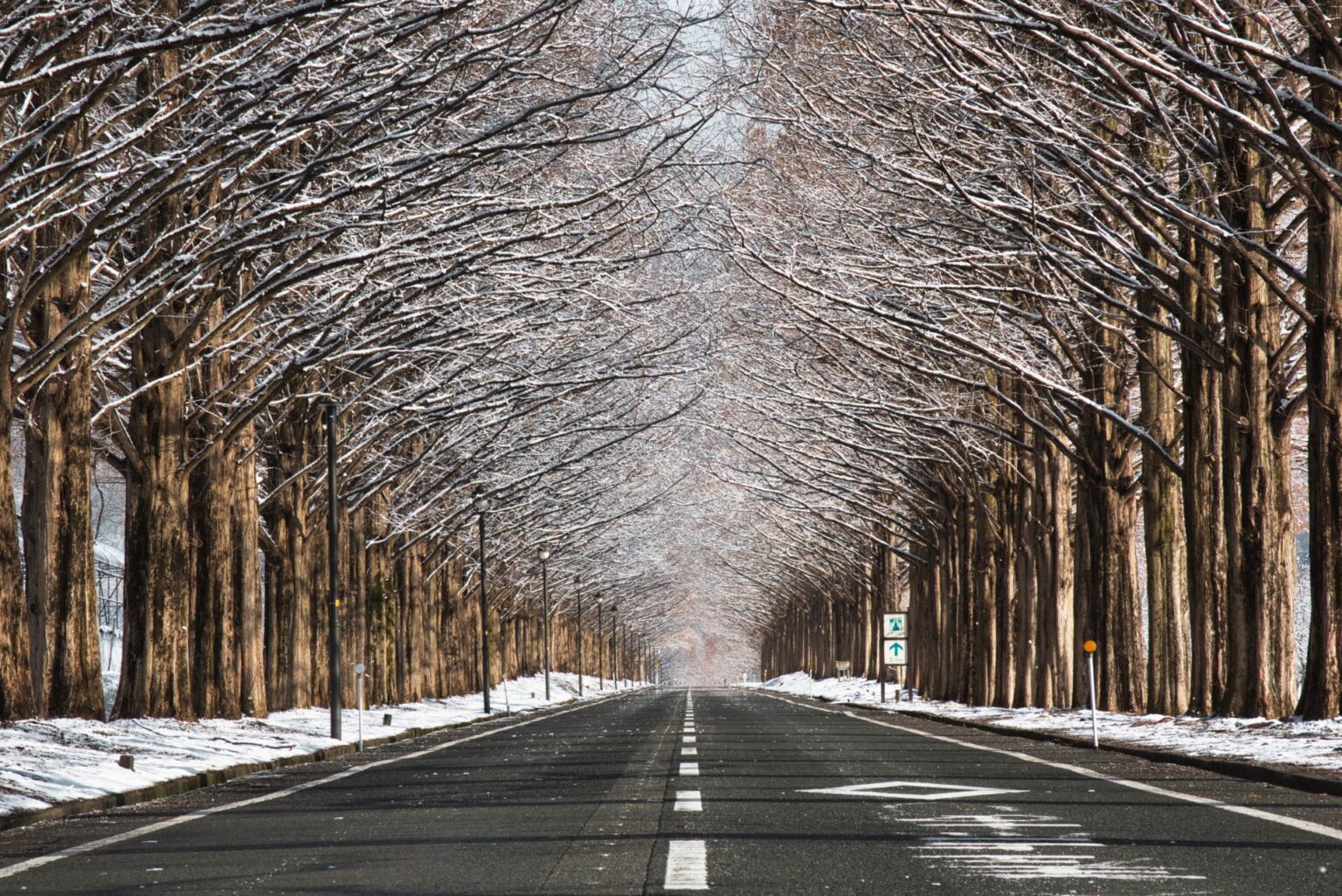 Winter Escapes: Nagoya's 7 Best Spots for Snow and Winter Activities ...