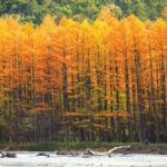 高山旅游指南