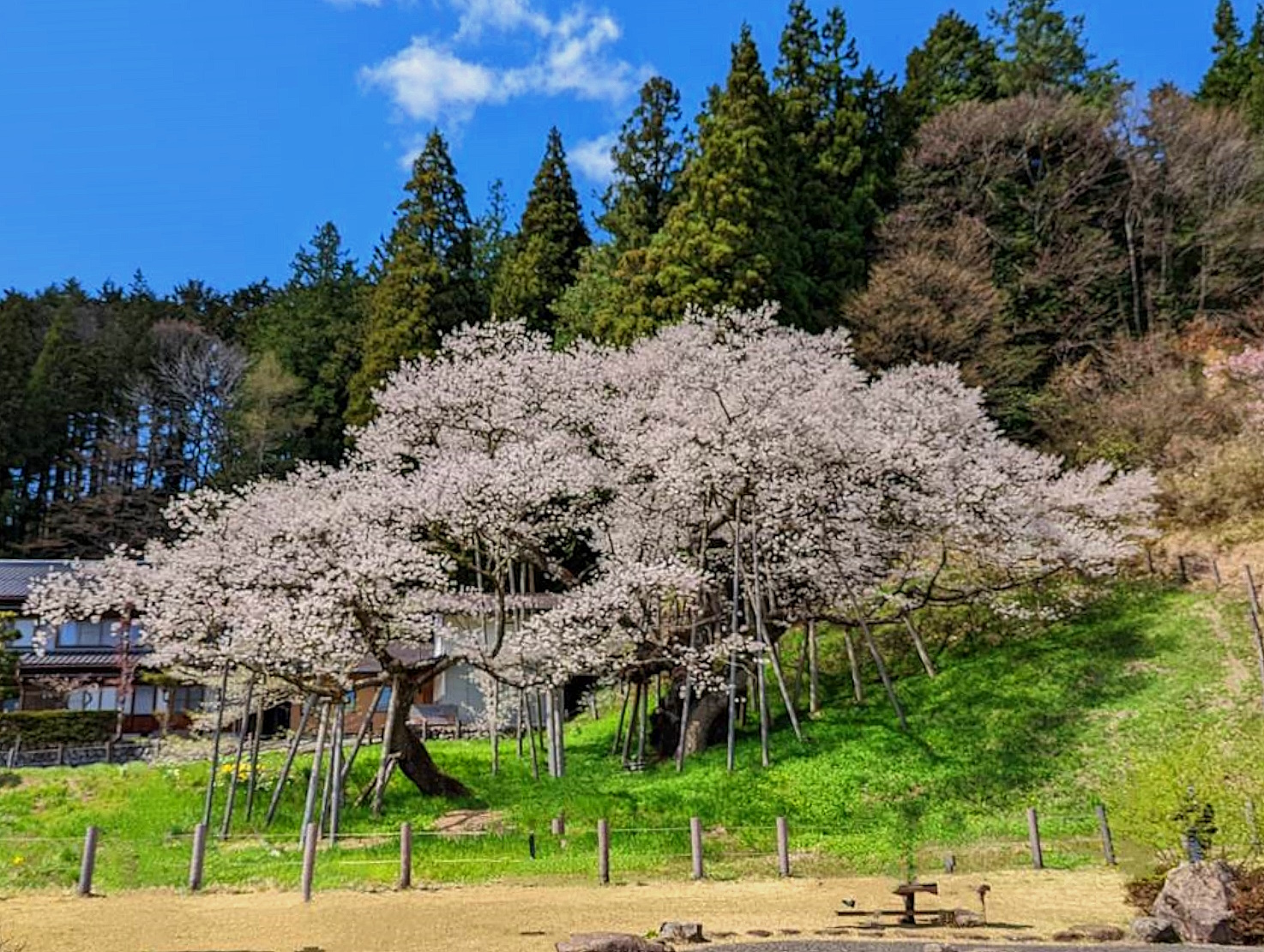 takayama