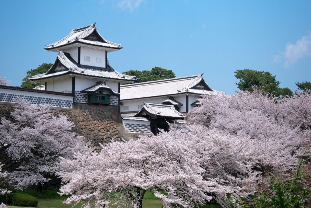 kanazawa_sakura