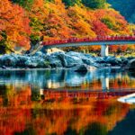 6 Stunning Spots for Autumn Leaves Near Nagoya