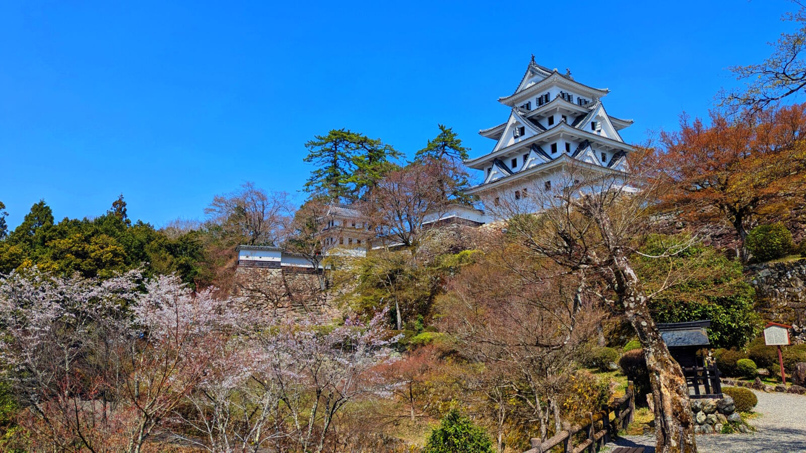 Sakura