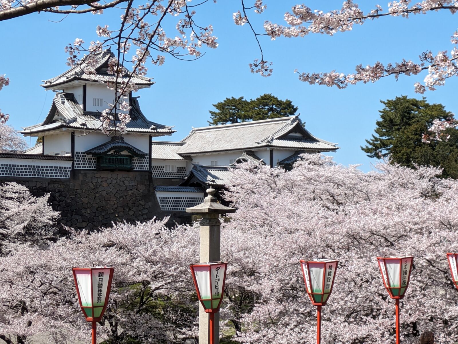 kanazawa-castle-cherry-blossoms