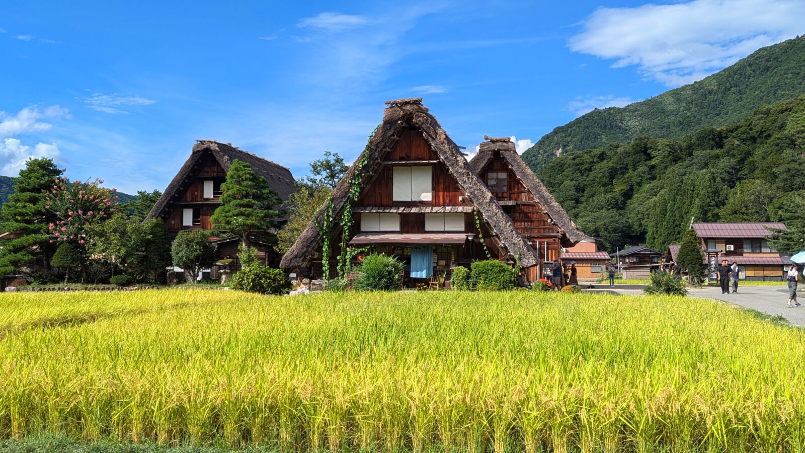 takayama