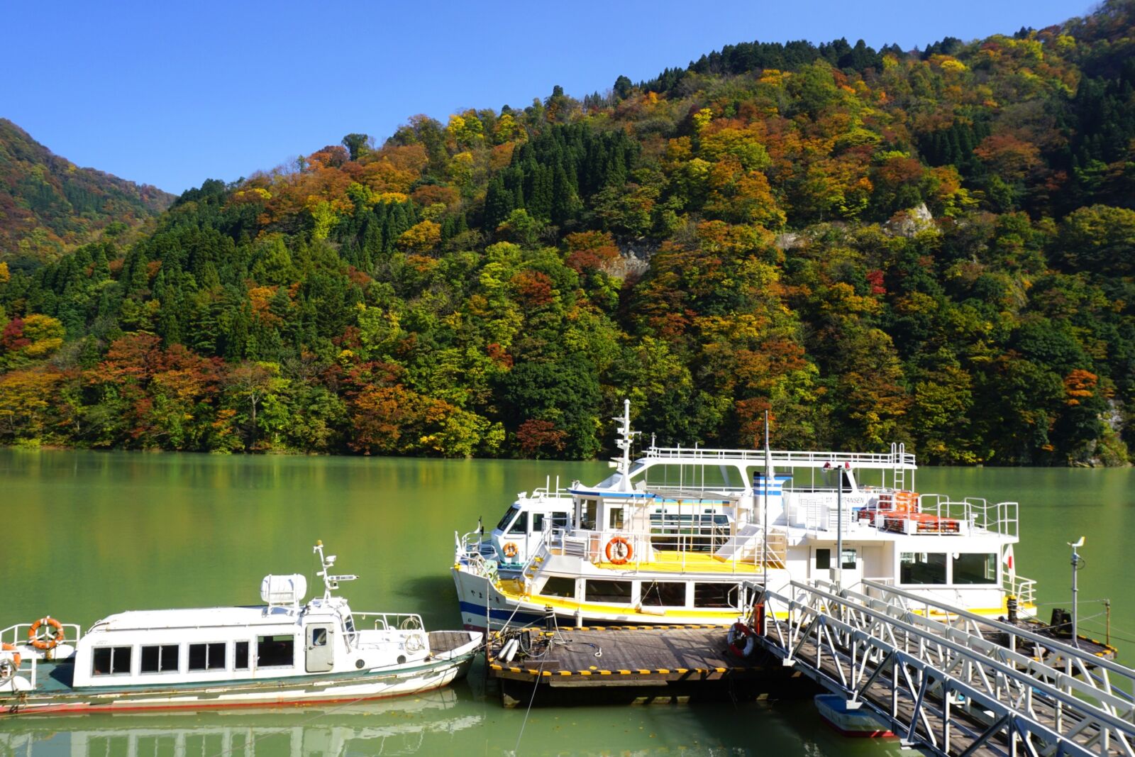 shokawa-cruise-toyama