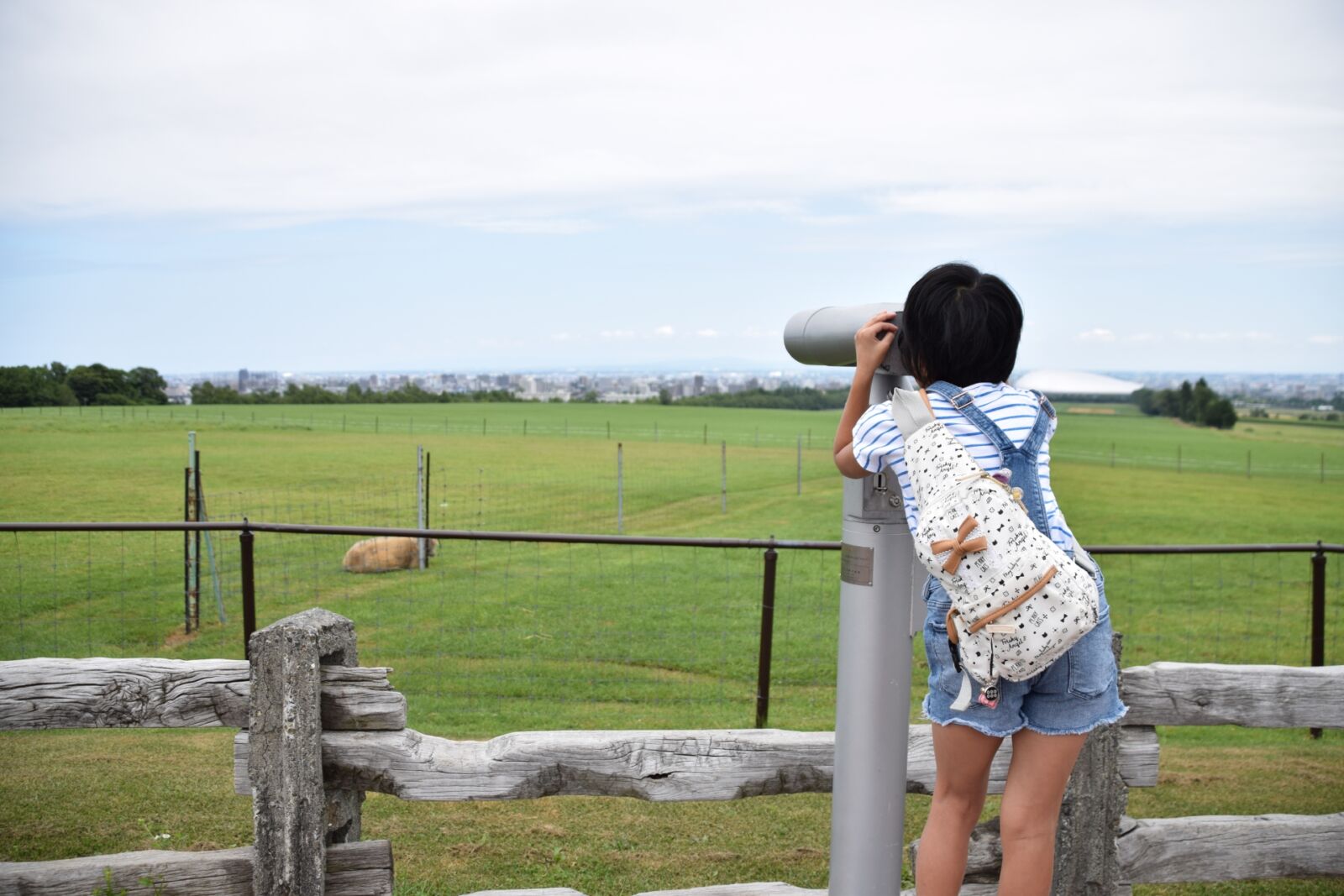 Hitsujigaoka-Observation-Hill