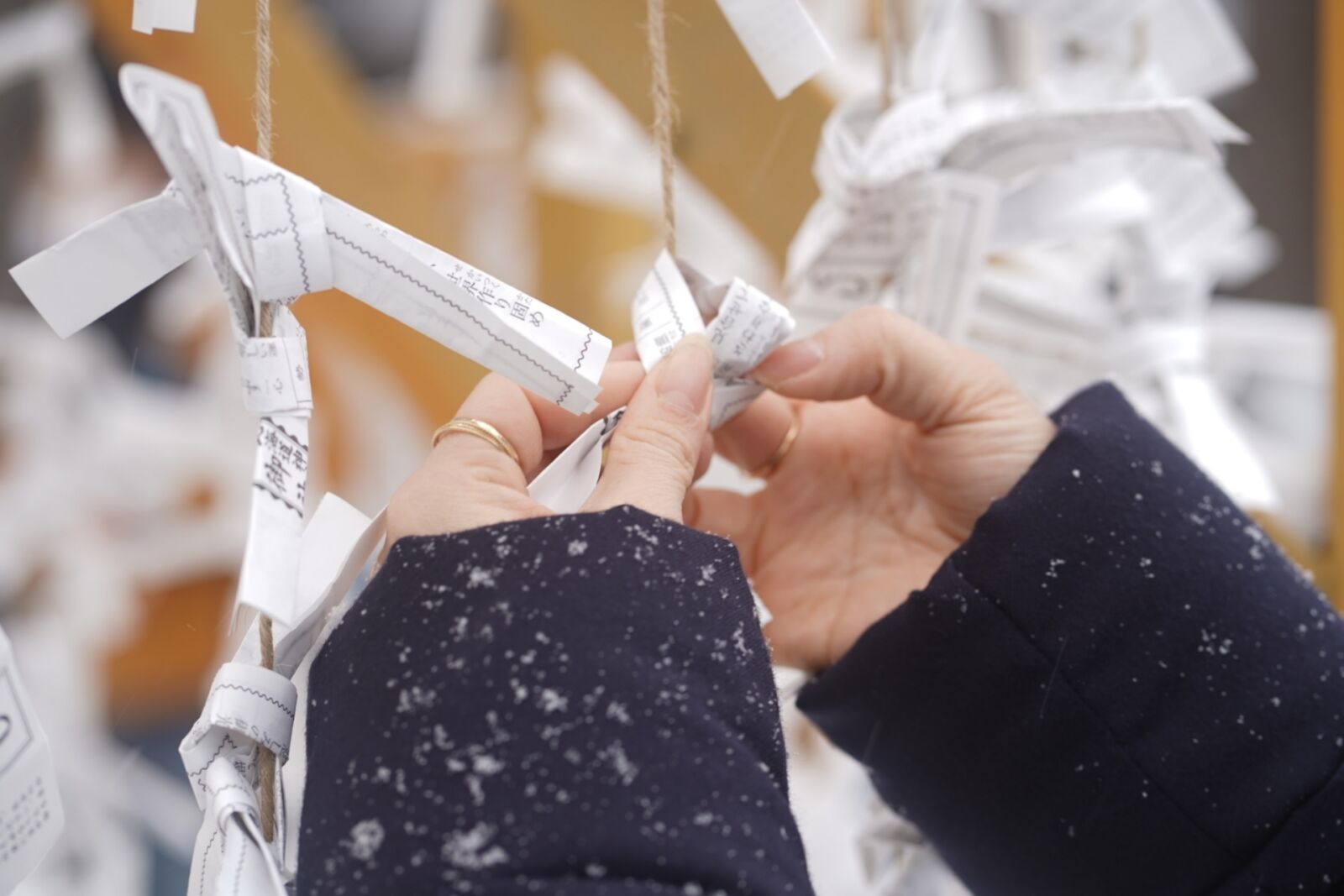 Hokkaido-Shrine-omikuji-fortune