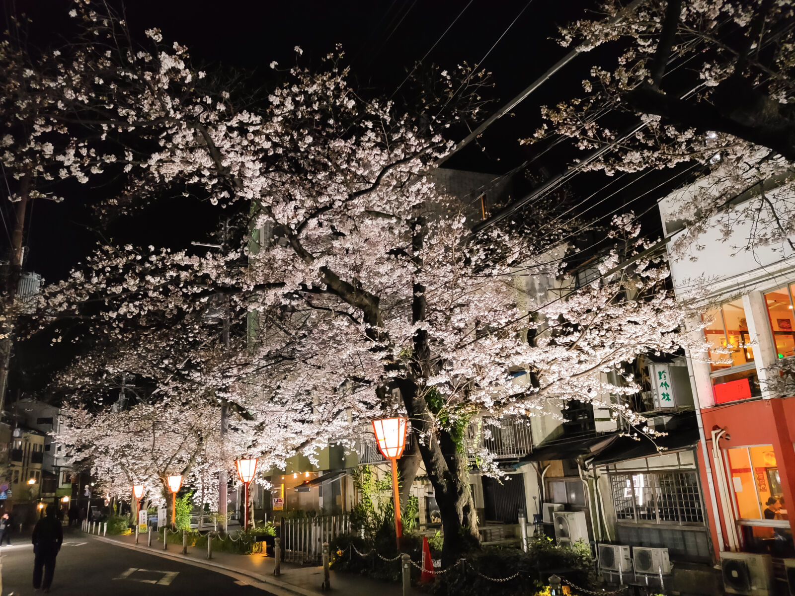 Kiyamachi-street-night