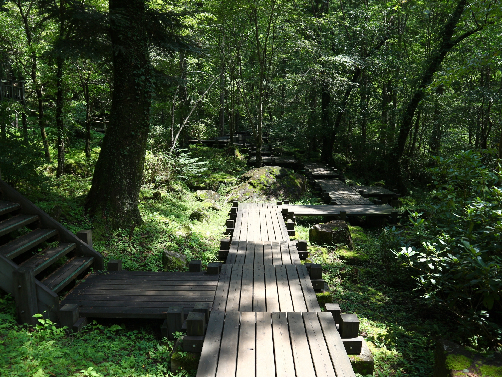 Nagoya-Tsukechi-gorge-path-horizontal-ACPhotos