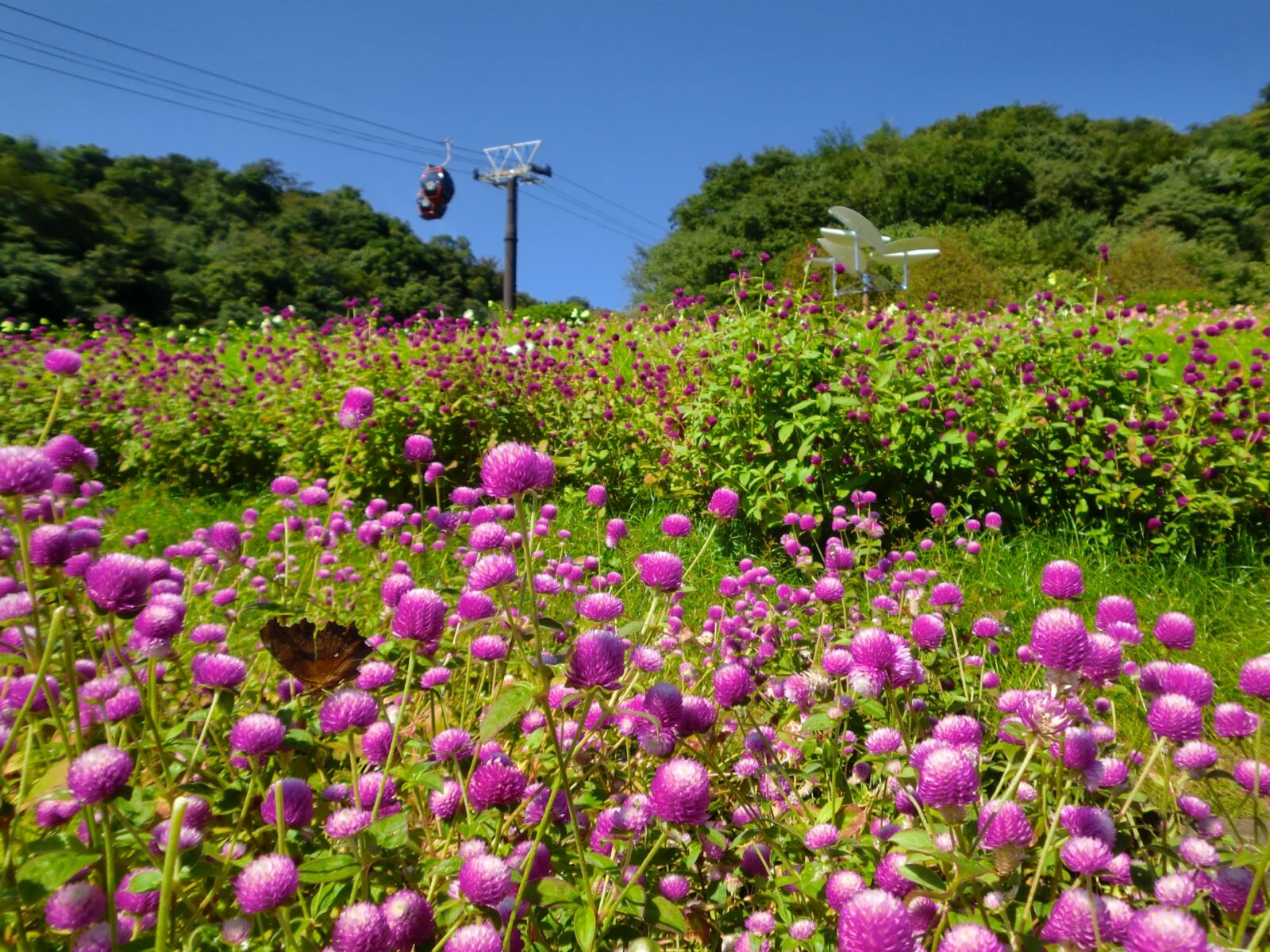 Nunobiki-herb-garden-ropeway