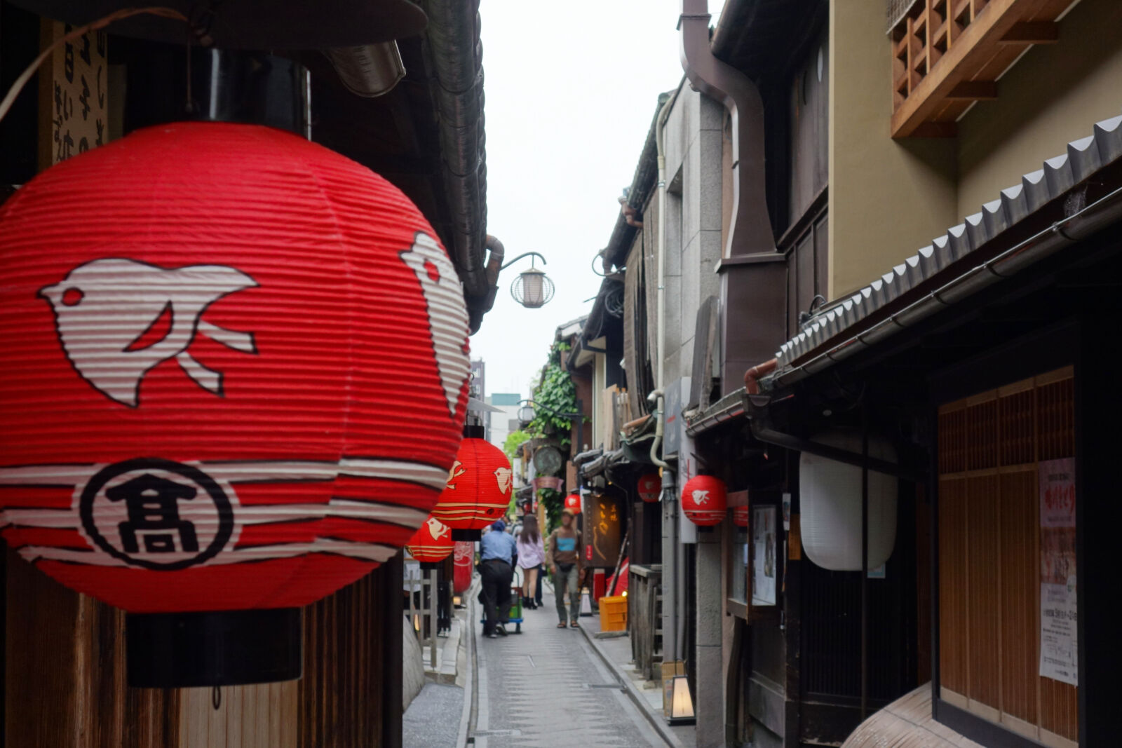 ponto-cho-street-kyoto