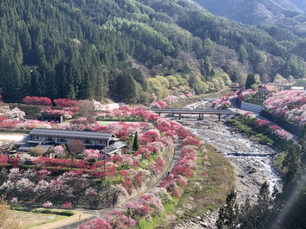 hirugami-onsen