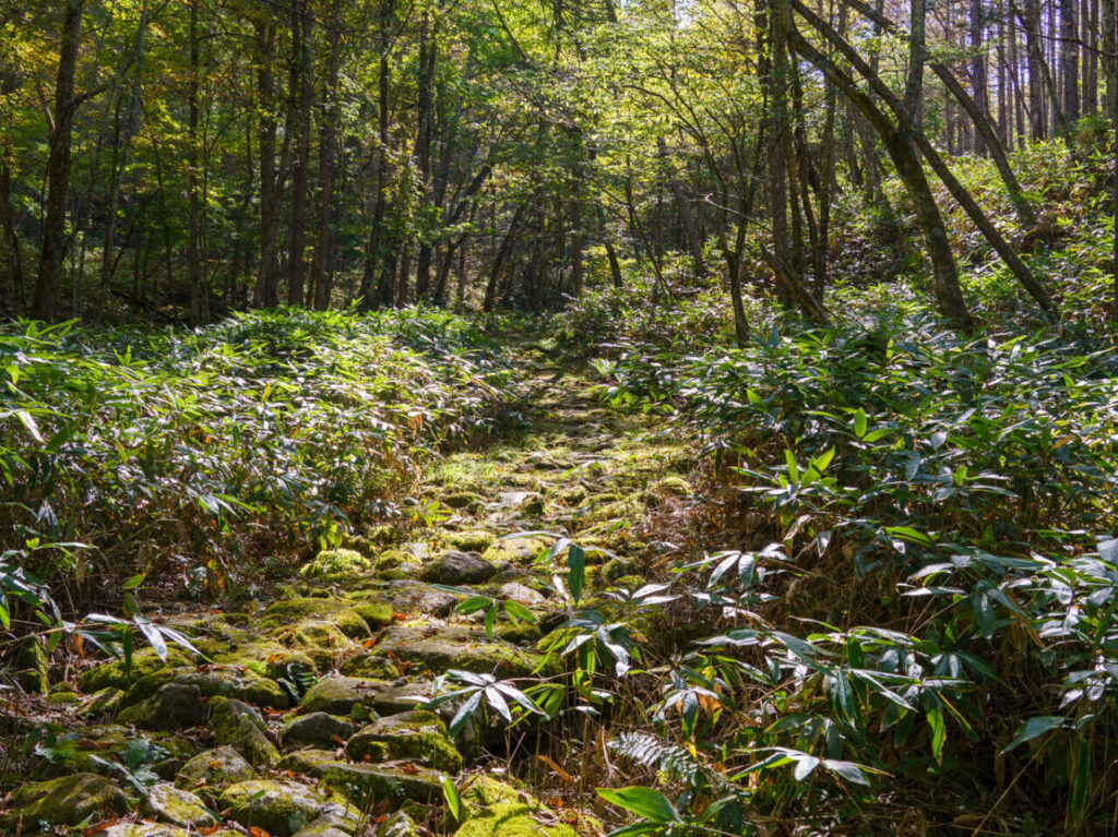 wadatoge-nakasendo