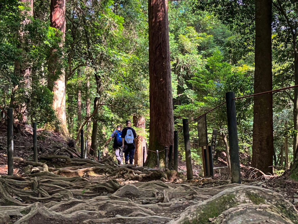 Kurama-dera-shrine-hike-kyoto